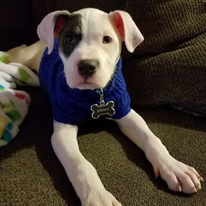 Meet your Posher, Fran